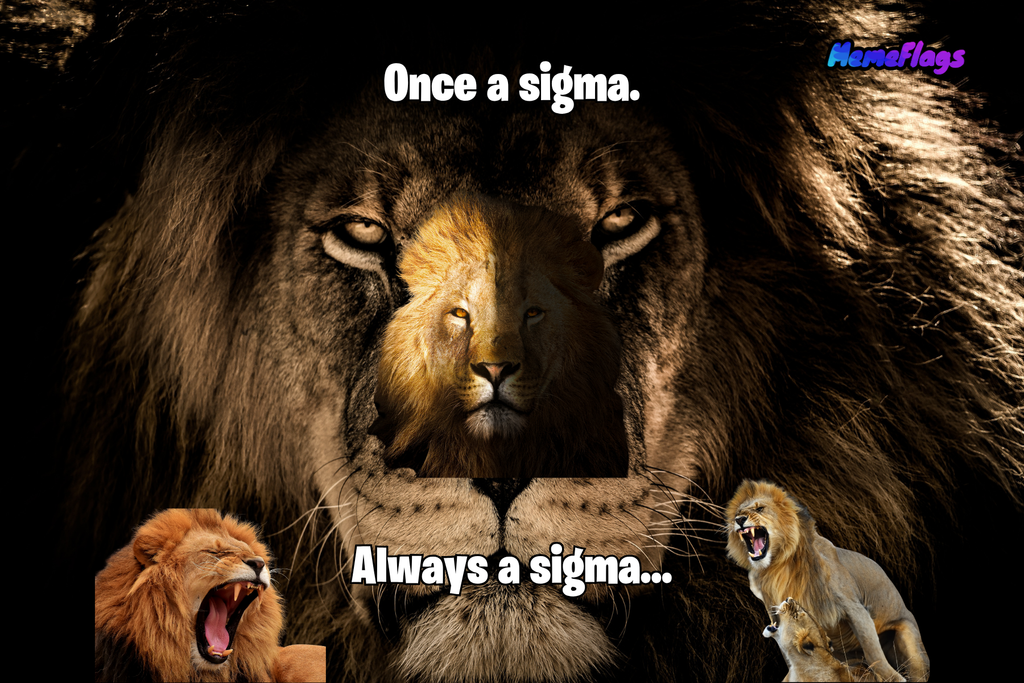 Funny "Sigma Lion" Bedroom Flag
