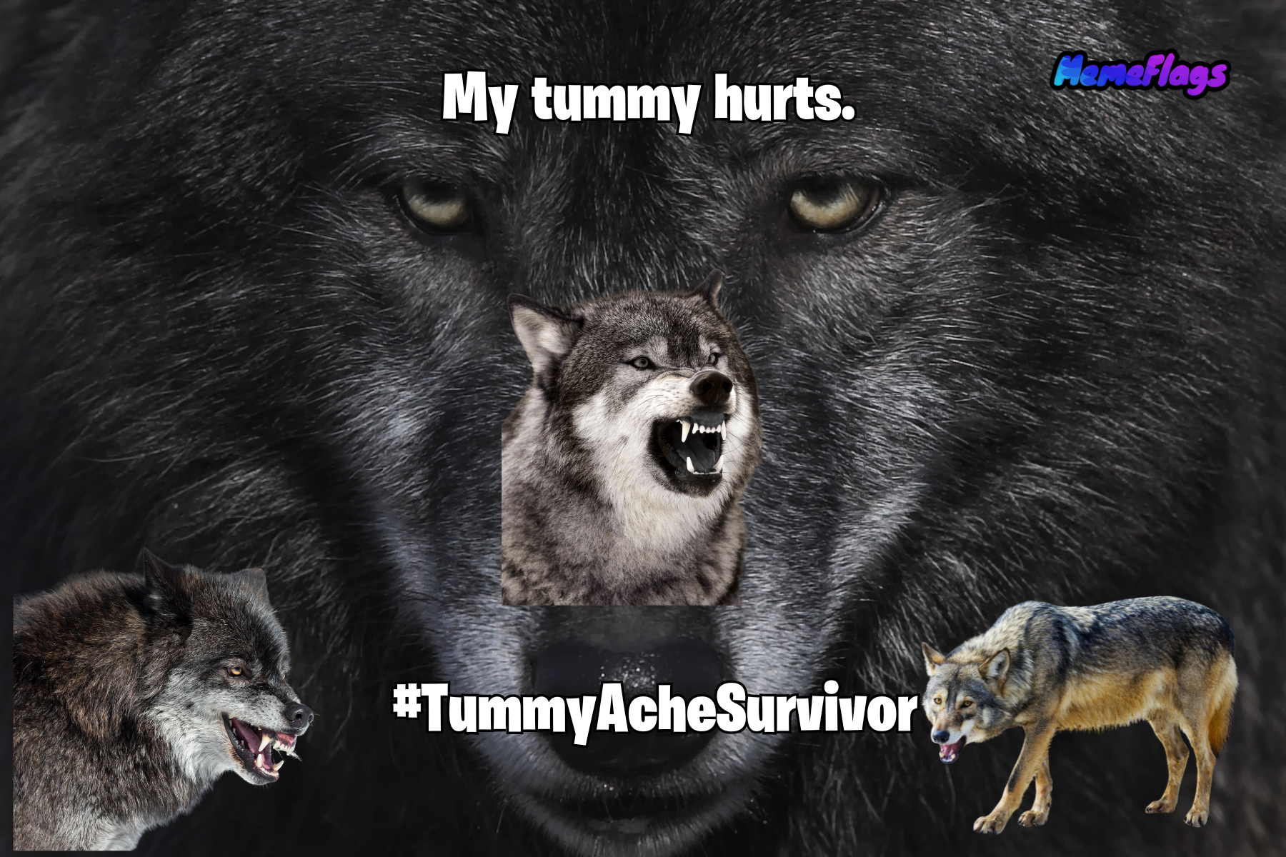 Funny "Tummy Ache Survivor" Bedroom Flag