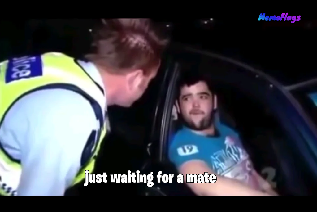 Funny "Just Waiting For A Mate" Bedroom Flag