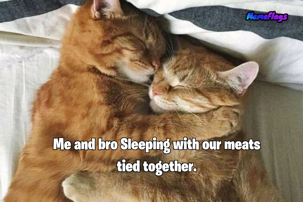 Funny "Meats Tied" Bedroom Flag