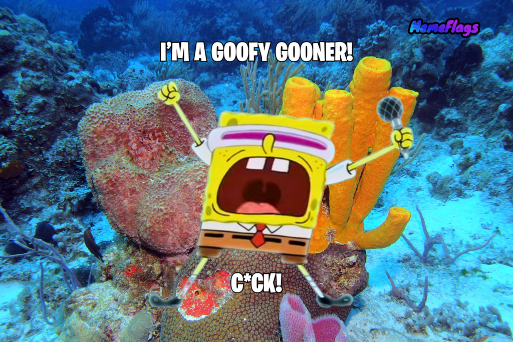 Funny "Goofy Gooner" Bedroom Flag