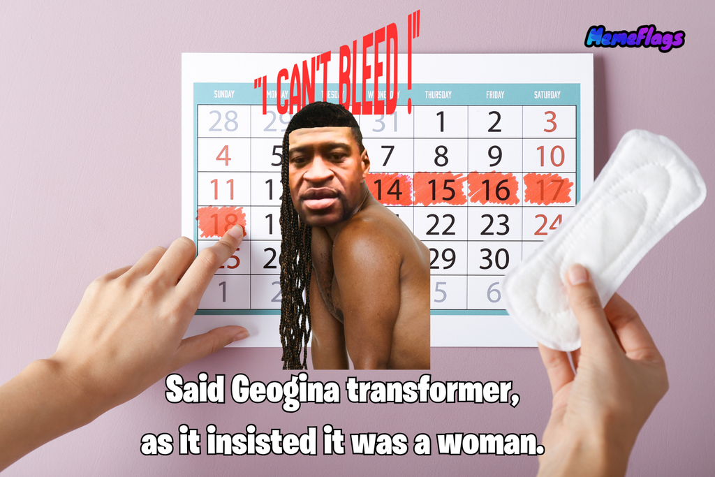 Funny "I Can't Bleed" Bedroom Flag