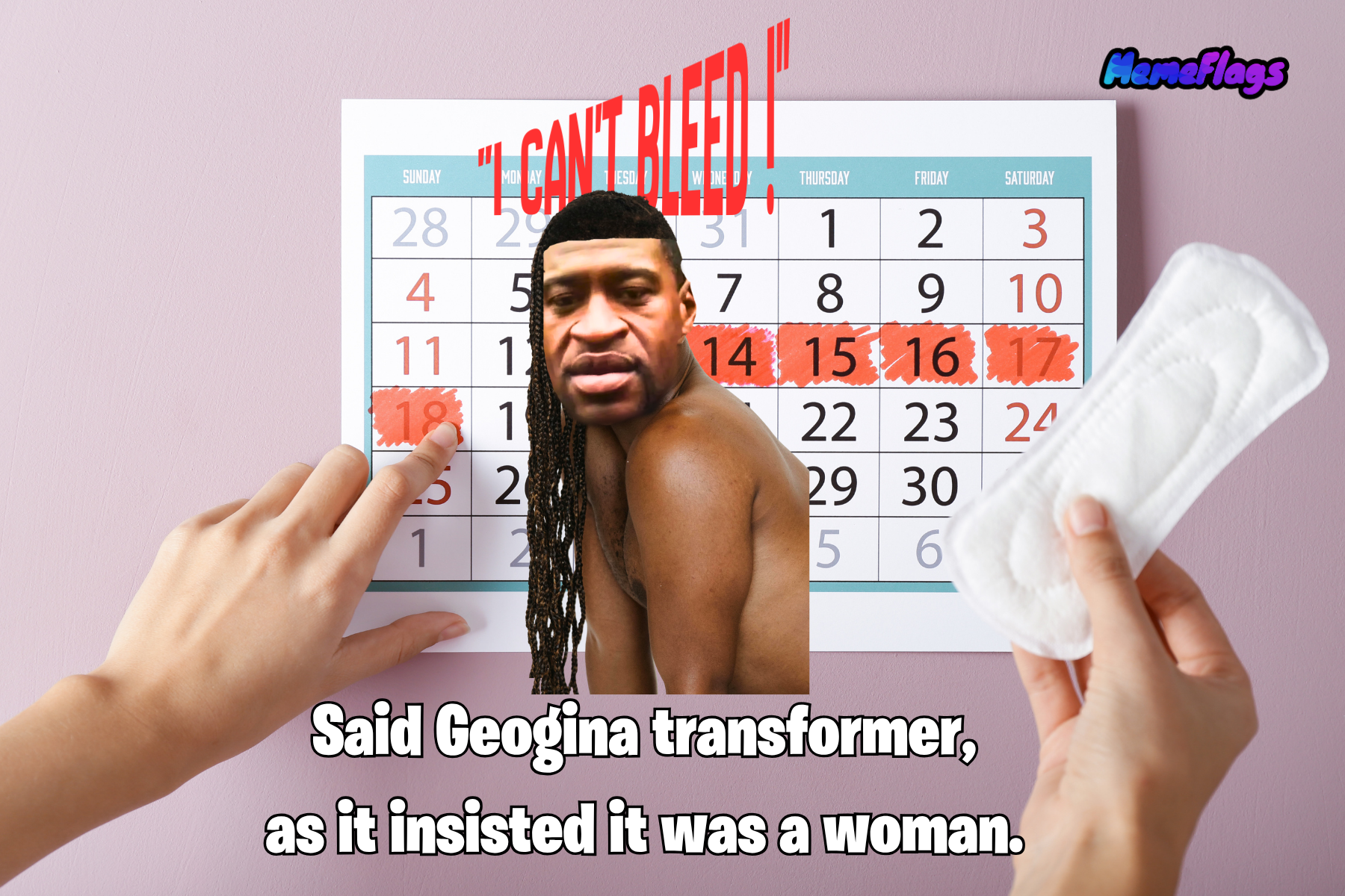 Funny "I Can't Bleed" Bedroom Flag