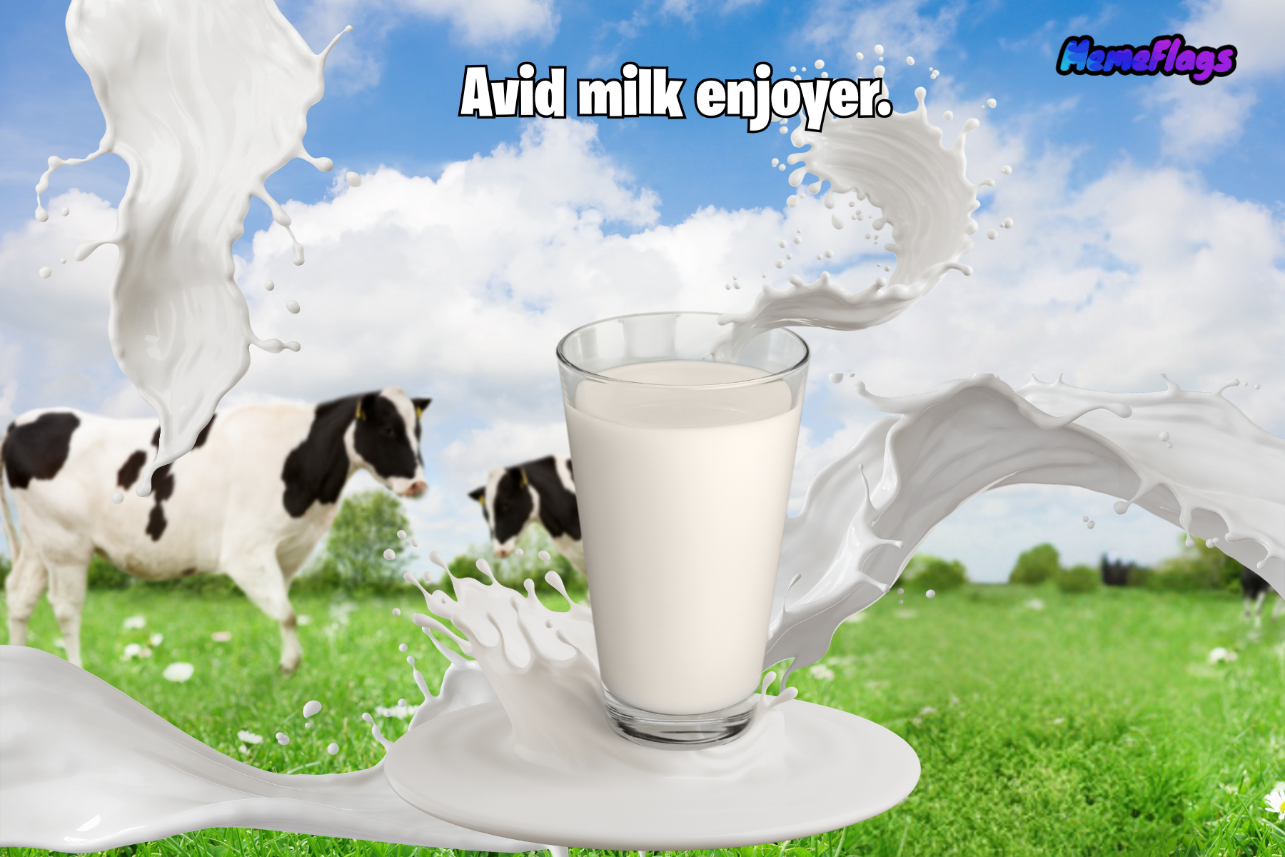 Funny "Avid Milk Enjoyer" Bedroom Flag